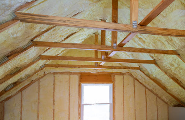 Best Insulation Maintenance and Repair in Rosenberg, TX