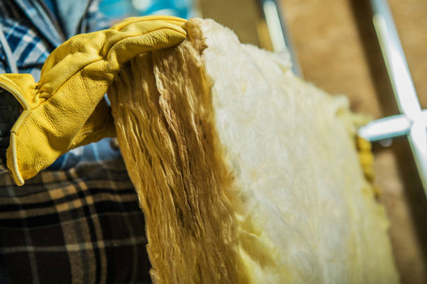 Best Insulation Installation Services in Rosenberg, TX